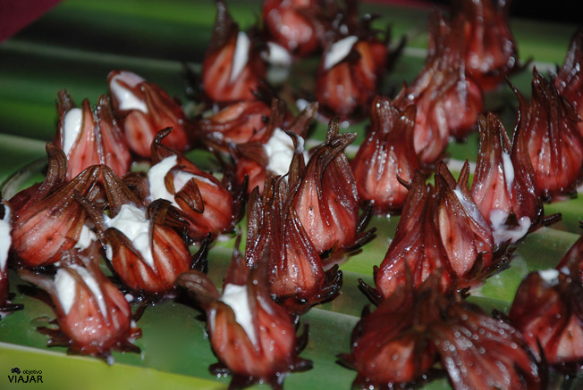 Flor de hibiscus rellena de crema de queso