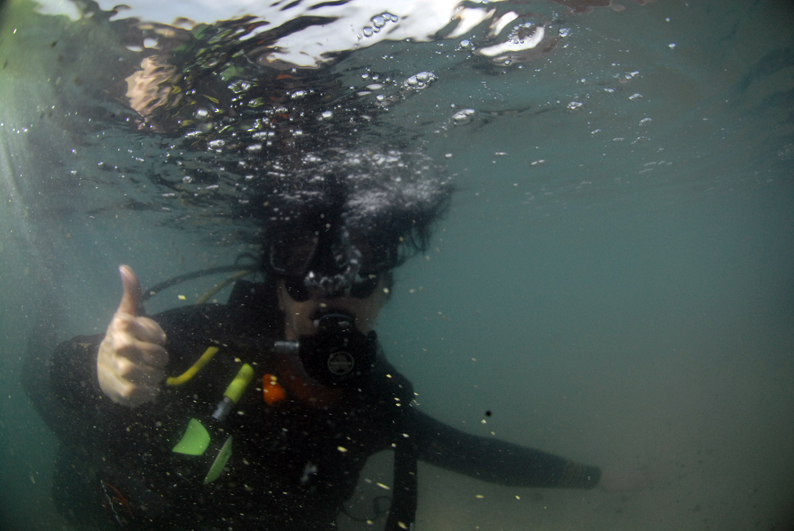 Buceando frente a la playa de Amadores. Gran Canaria Buceando frente a la playa de Amadores. Gran Canaria