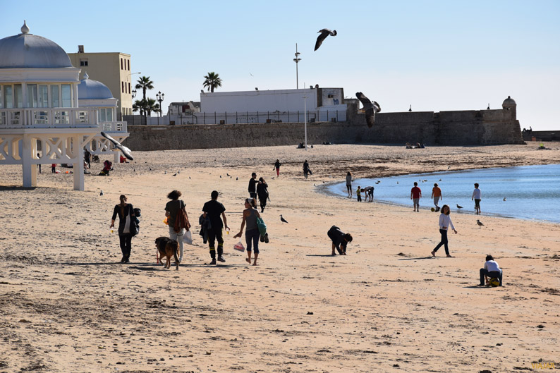 En Cádiz la felicidad está asegurada En Cádiz la felicidad está asegurada