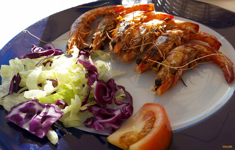 Langostinos a la plancha. Bar La Caleta, Cádiz Langostinos a la plancha. Bar La Caleta, Cádiz