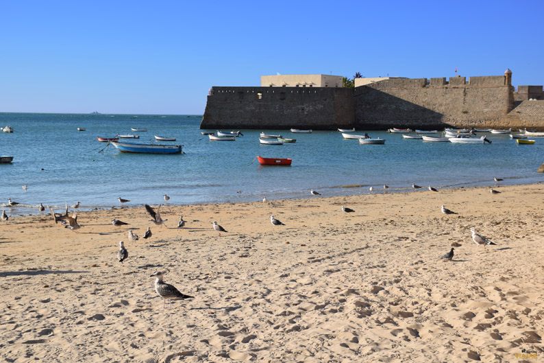 Playa de La Caleta y Castillo Santa Catalina. Cádiz Playa de La Caleta y Castillo Santa Catalina. Cádiz