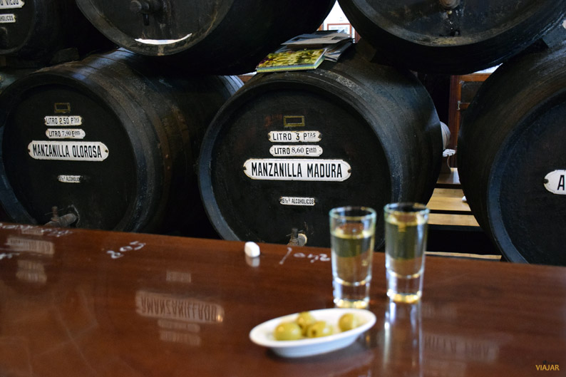 Taberna La Manzanilla. Cádiz Taberna La Manzanilla. Cádiz