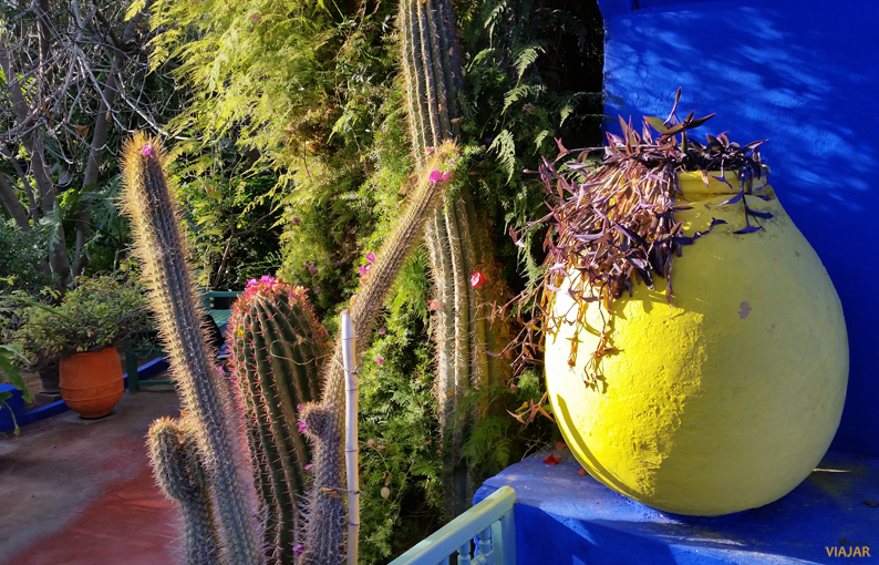 Detalle del Jardín Majorelle. Marrakech Detalle del Jardín Majorelle. Marrakech