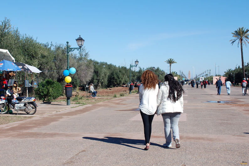 La Menara con el minarete de la Koutoubia al fondo La Menara con el minarete de la Koutoubia al fondo