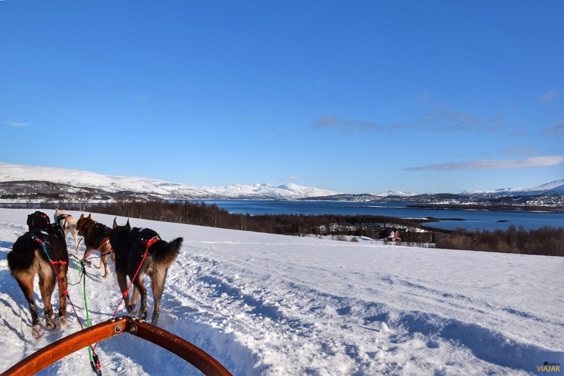 Bordeando el mar a bordo de un trineo de perros. Laponia noruega Bordeando el mar a bordo de un trineo de perros. Laponia noruega