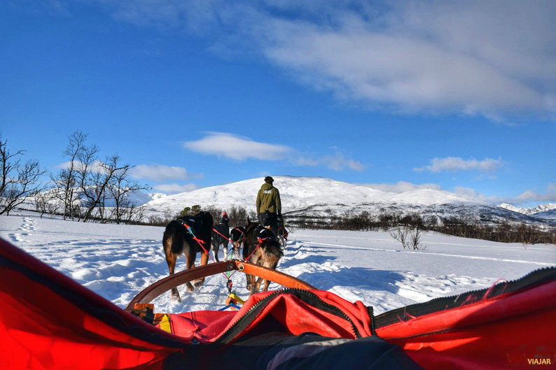 El mejor de los miradores. Trineo de perros. Laponia noruega El mejor de los miradores. Trineo de perros. Laponia noruega