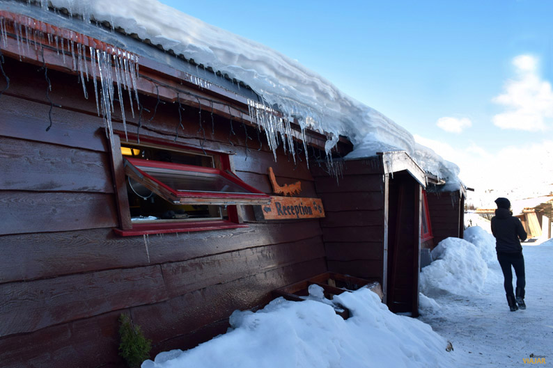Tromsø Villmarksenter. Trineo de perros en la Laponia noruega Tromsø Villmarksenter. Trineo de perros en la Laponia noruega