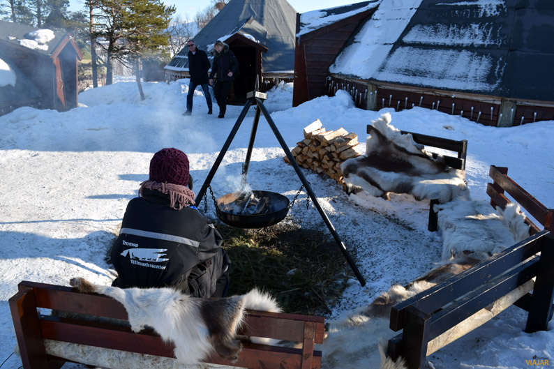 Un momento de soledad al calor del fuego. Trineo de perros. Laponia noruega Un momento de soledad al calor del fuego. Trineo de perros. Laponia noruega