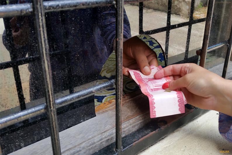 Chelines tanzanos Chelines tanzanos. Africa