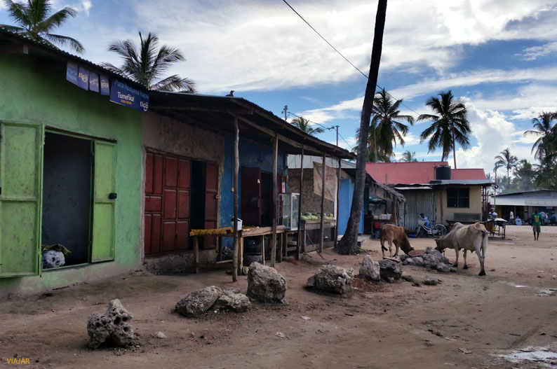 La otra Zanzíbar La otra Zanzibar