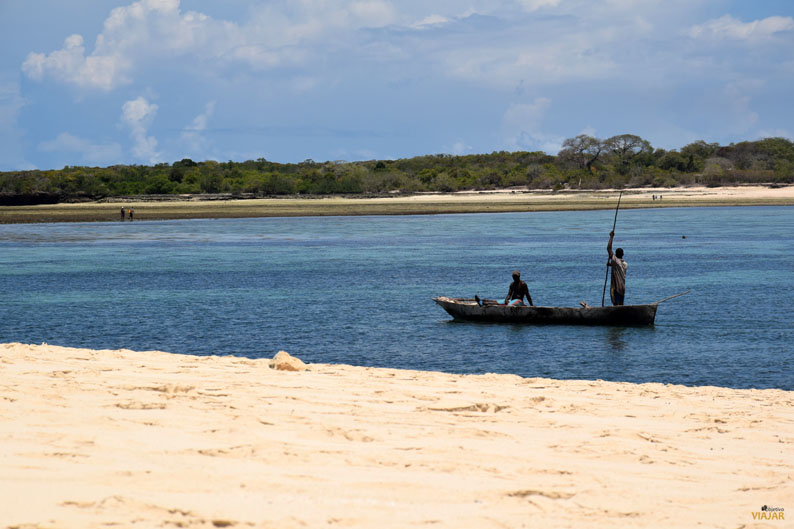 Banco de arena. Safari Blue Banco de arena. Safari Blue