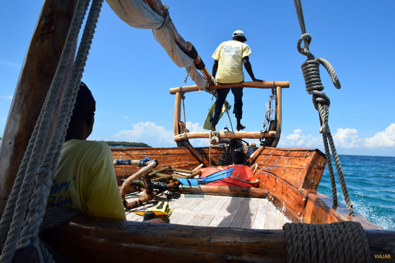 Playa de Fumba. Safari Blue Playa de Fumba. Safari Blue