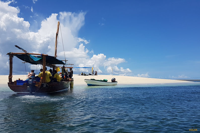 Excursión Safari Blue. Zanzíbar Excursion Safari Blue. Zanzibar