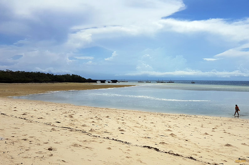 Isla de Kwale. Safari Blue Isla de Kwale. Safari Blue