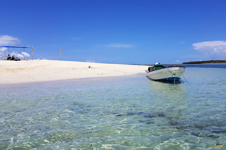 Las cristalinas aguas del Indico. Safari Blue Las cristalinas aguas del Indico. Safari Blue