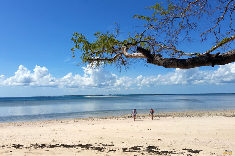 Playa de la isla de Kwale. Safari Blue Playa de la isla de Kwale. Safari Blue