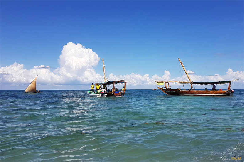 Safari Blue. Excursión en Zanzíbar Safari Blue. Excursion en Zanzibar