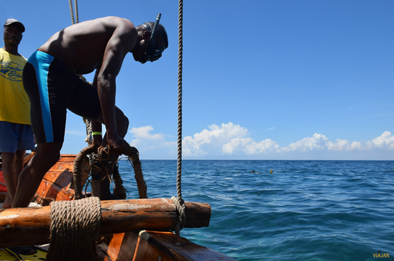 Snorkel. Safari Blue Snorkel. Safari Blue
