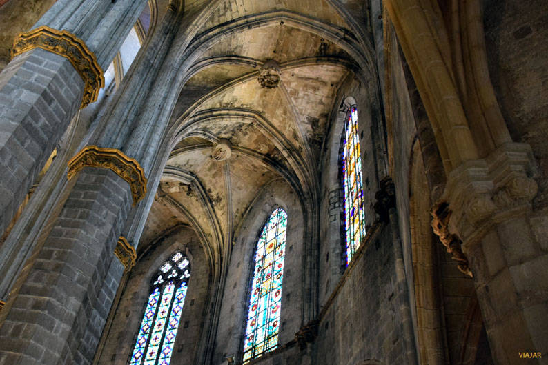 Vidrieras de Santa Maria del Mar desde las tribunas Vidrieras de Santa Maria del Mar