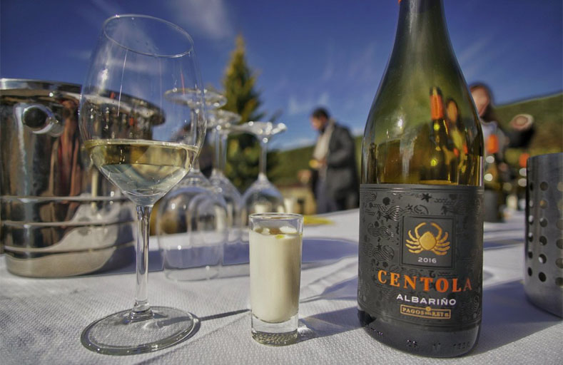 Degustando Centola, un gran albariño en el jardín del Museo del Vino de Pagos del Rey © Un viaje creativo Degustando Centola, un gran albariño en el jardin del Museo del Vino de Pagos del Rey © Un viaje creativo