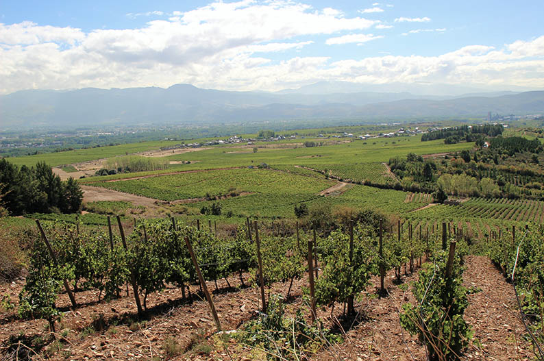 Cacabelos. Turismo enologico en Leon