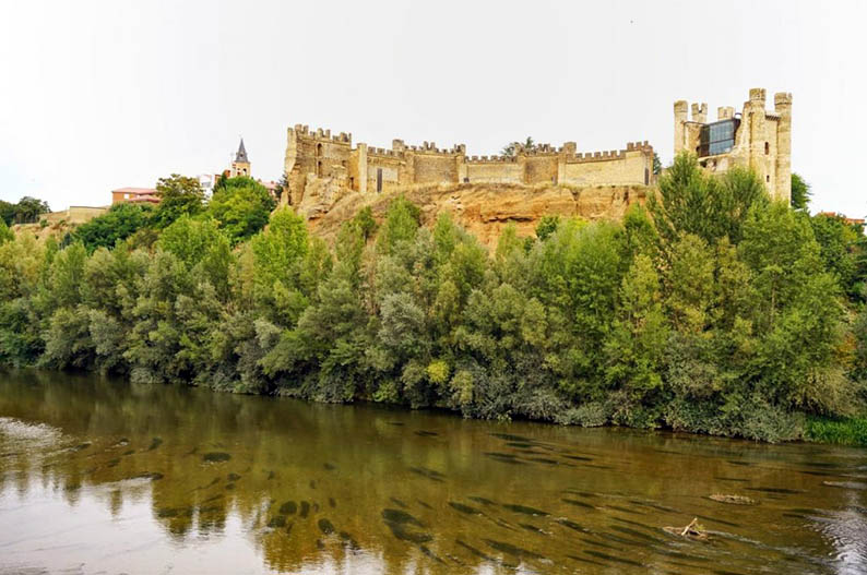 Castillo de Valencia de Don Juan. Leon