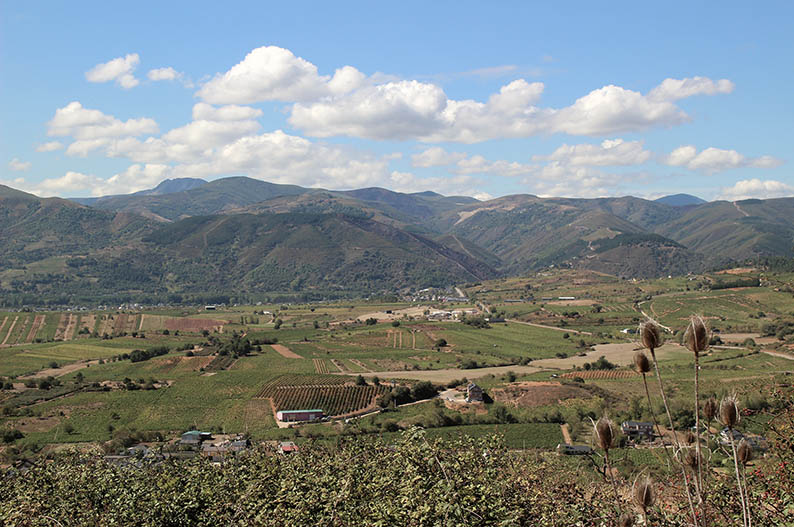 Castro Ventosa. Enoturismo en Leon