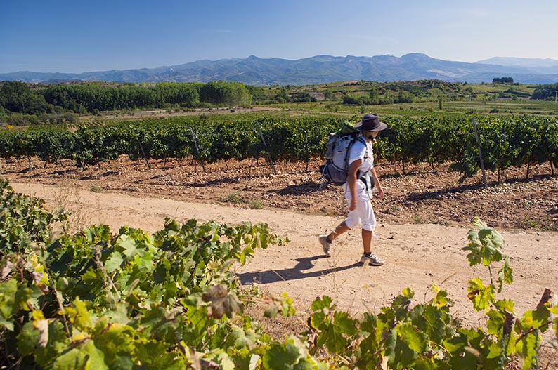 El Camino de Santiago a su paso por el Bierzo. Enoturismo en León