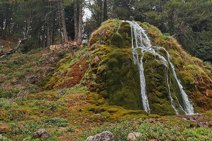 Fuente La Tejeda
