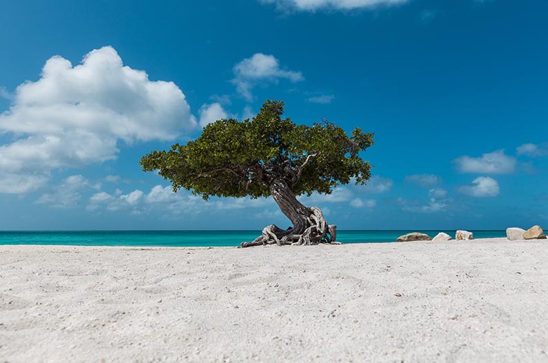 Aruba